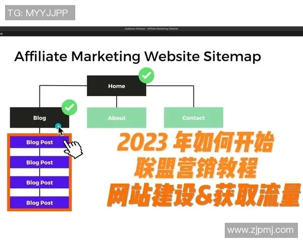 探索Affiliate营销网络与流量网站的合作模式及业绩分成机制